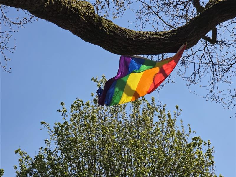Regenbogenfahne in einem Baum